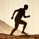 Stamina Icon